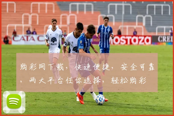 购彩网下载，快速便捷，安全可靠，两大平台任你选择，轻松购彩