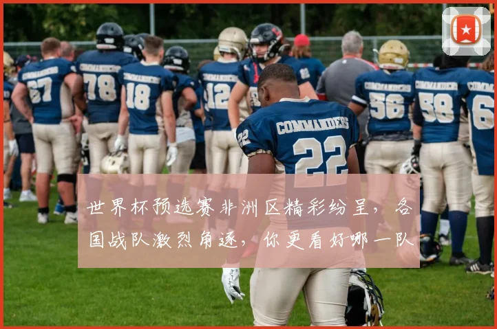 世界杯预选赛非洲区精彩纷呈，各国战队激烈角逐，你更看好哪一队